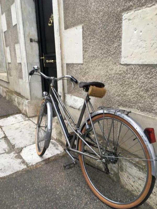 Grande Maison #6 Chambres #Proche Amboise/Tours Mosnes Екстериор снимка
